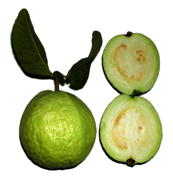 Datei:Psidium guajava fruit.jpg
